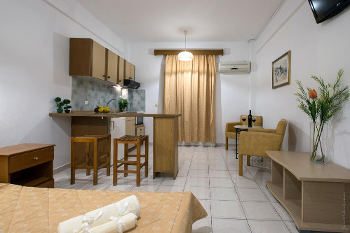 Studio Apartment